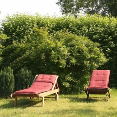 Villa Beer - Bild 9