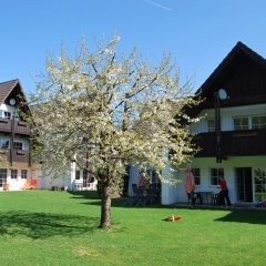 Ferienwohnung Stricker Harz - Bild 16