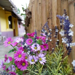 Marina Hut Guest House thumbnail 20