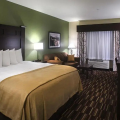 Comfort Inn & Suites Beeville thumbnail 21