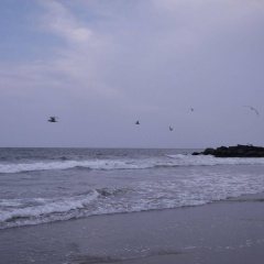 AnYi Guesthouse JFK thumbnail 9