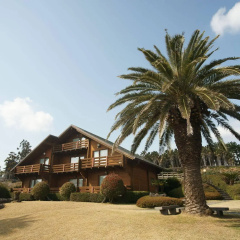 Sunny Day Jeju Pension thumbnail 12