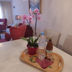 Colibri Apartment - Bild 8