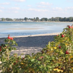 Radiant Apartment in Wismar near Baltic Sea Beach - Bild 9