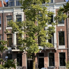 If boutique hotel - Bild 1