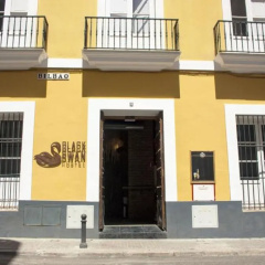 Black Swan Hostel Sevilla - Bild 1