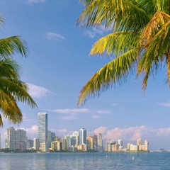DoubleTree by Hilton Grand Hotel Biscayne Bay - Bild 26