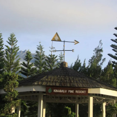 Kinabalu Pine Resort photo 2