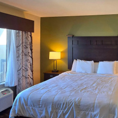Comfort Inn & Suites Beeville thumbnail 28