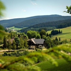 Kuckucksnest Jostal - Bild 10