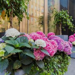 Гостиница Tverskaya Apartment в Москве отзывы, цены и фото номеров - забронировать гостиницу Tverskaya Apartment онлайн Москва фото 16