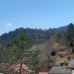 Appartement im Hasental - Bild 8