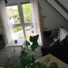Casa Verde Kassel - Bild 5