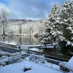 Pension Haus am See - Bild 13