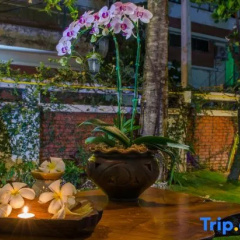 Dream Garden Villa thumbnail 10