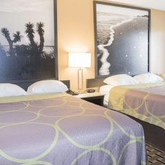 Platinum Inn & Suites Willowbrook Houston thumbnail 6