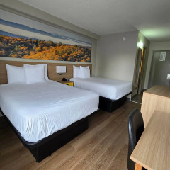 Days Inn by Wyndham Manassas Battlefield thumbnail 18