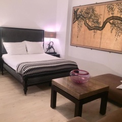 Zentrales Apartment -Am Stadtpark- - Bild 4