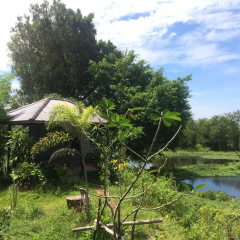 Krabilife Resort - Bild 17