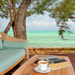 Tulia Zanzibar Unique Beach Resort in Pongwe, Tanzania from 943$, photos, reviews - zenhotels.com beach photo 4