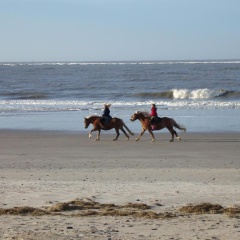Seevilla Wietjes Whg 5 - Bild 13