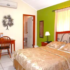 The Green Frog Inn in San Pedro Sula, Honduras from 75$, photos, reviews - zenhotels.com photo 50