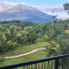 Palm Springs Bali Dive Resorts - Bild 7