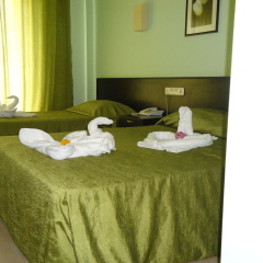 Blue Pine Hotel - Bild 4