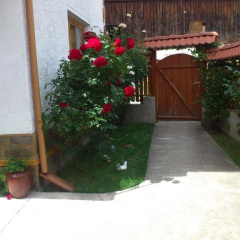 Guest House Stoletnika thumbnail 6