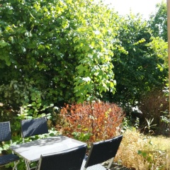 Ferienwohnung Drabinski - Bild 5