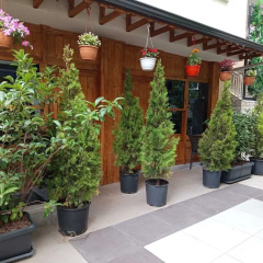 Ber Mai Inci Hotel - Bild 17
