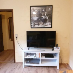 Ferienwohnung Salut - Bild 5