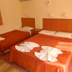 Cirali Olympos Hotel - Bild 5