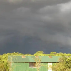 Mara Explorers Camp & Backpackers thumbnail 2