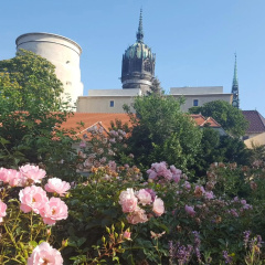 Fewo "Seerose" am Stadtpark - Bild 8