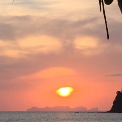 Noble House Beach Resort - Bild 15