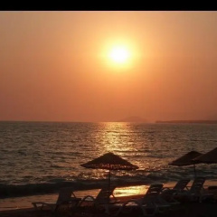 Palm Beach Apartment - Bild 8