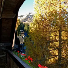 Waldhütte thumbnail 1