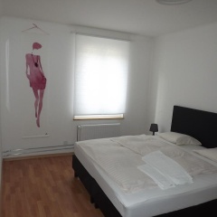Swiss Star Eptingerstrasse - Bild 4