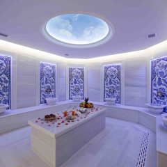 Anemon Bursa Gönlüferah Termal&Spa Otel - Bild 15