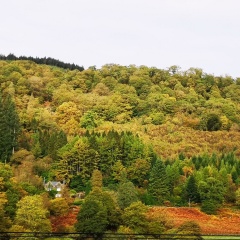 The Old Vicarage thumbnail 18