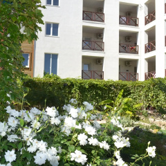 Hotel Loza photo 2