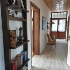 Alleeblick - Bild 2