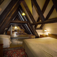 Hotel & Residence U Tri Bubnu - Bild 13
