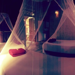Didu's Homestay Bed & Breakfast - Bild 3
