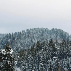 Geraumige Wohnung in Altenau mit Terrasse - Bild 15