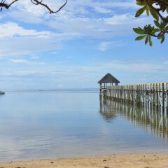Fijian Oasis in Viti Levu, Fiji from 226$, photos, reviews - zenhotels.com photo 25