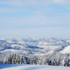 Wolfensberg thumbnail 3