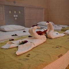 Ares Dream Hotel- All Inclusive - Bild 4
