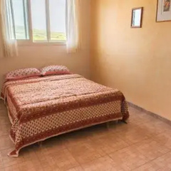 Lamalo photo 2